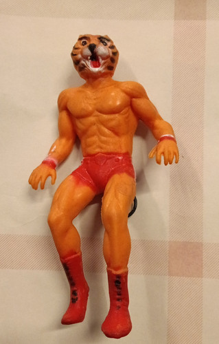 Uomo tigre tiger man - tigre,